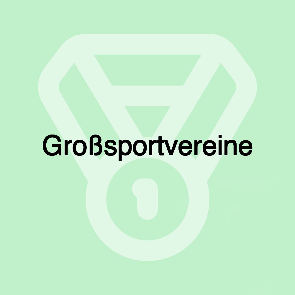 Großsportvereine Großsportvereine