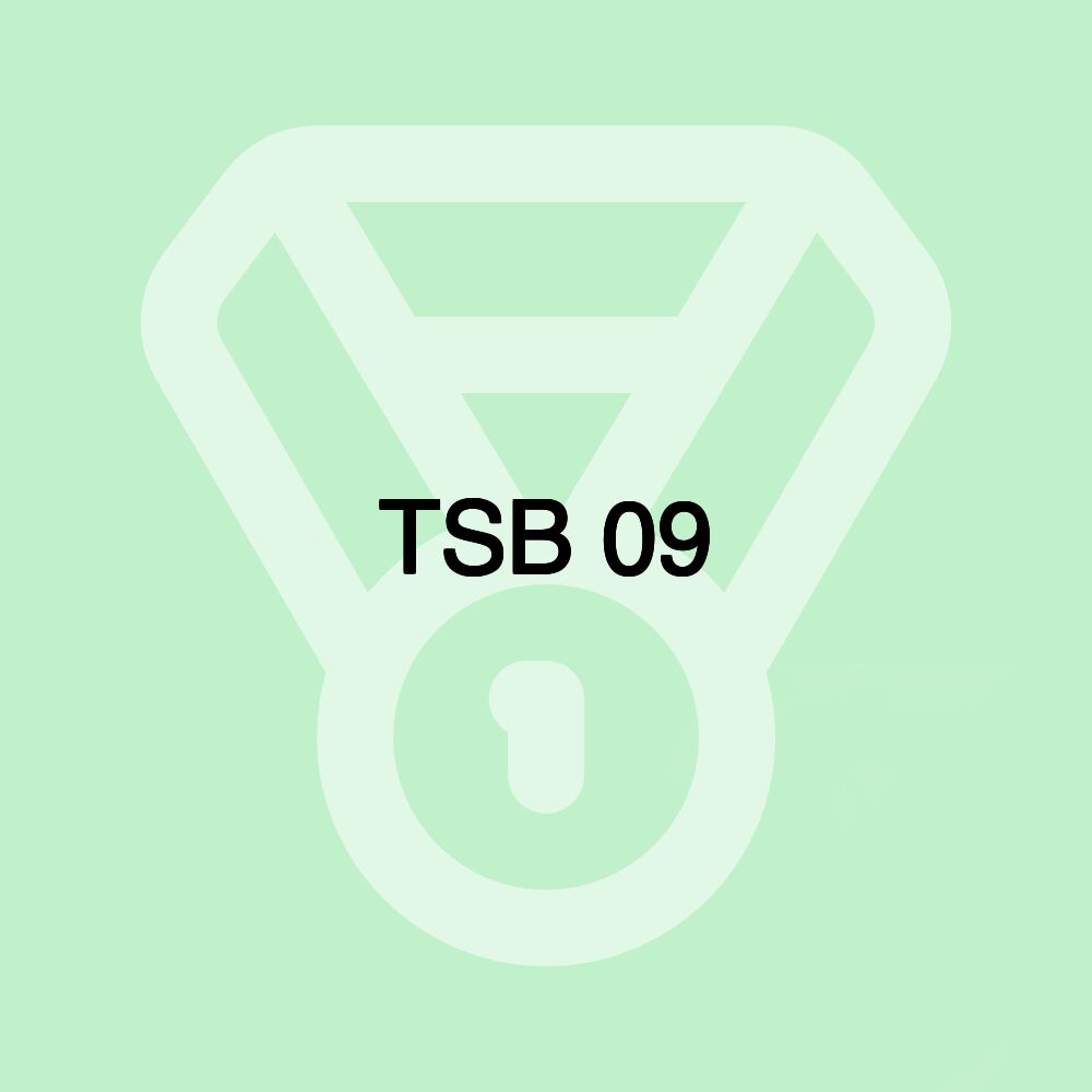 TSB 09 TSB 09