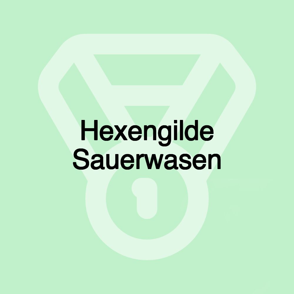 Hexengilde Sauerwasen