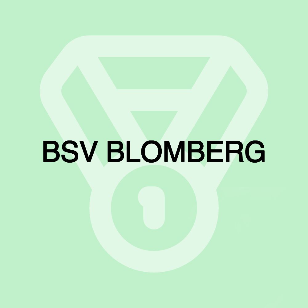 BSV BLOMBERG BSV BLOMBERG