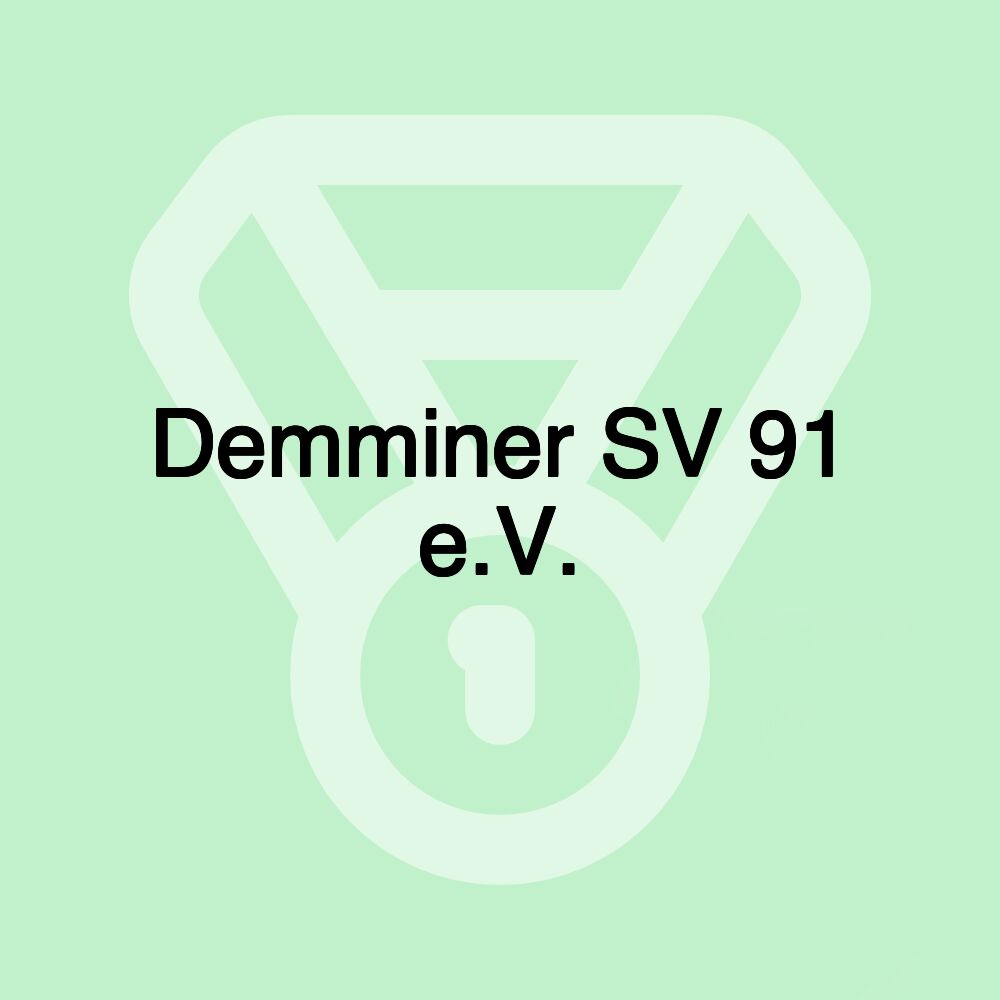 Demminer SV 91 e.V.