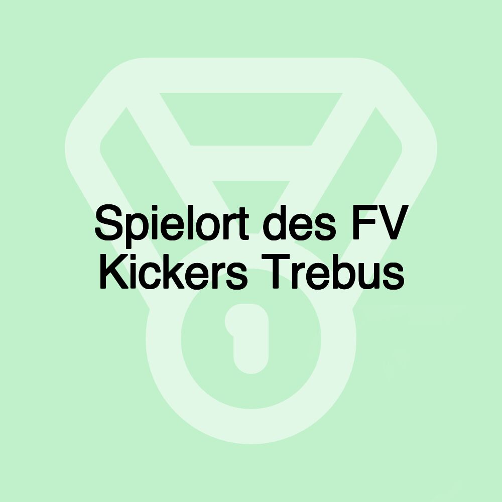 Spielort des FV Kickers Trebus