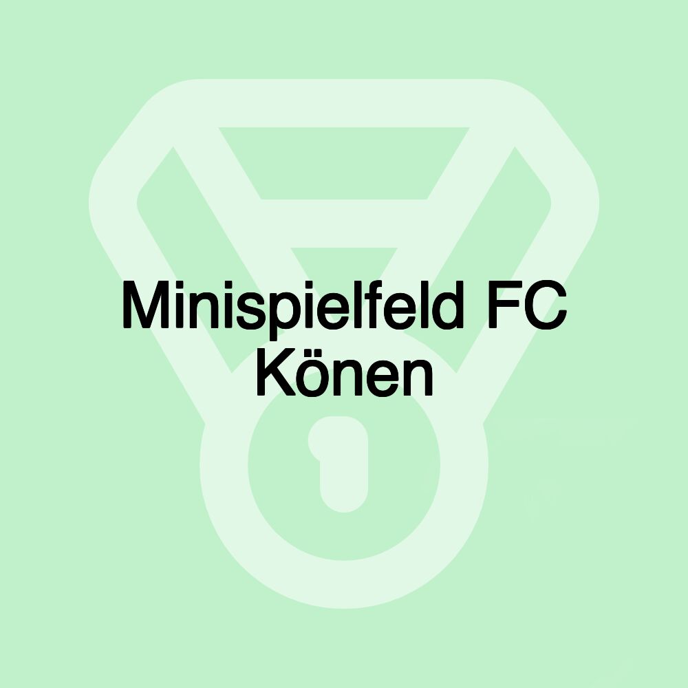 Minispielfeld FC Könen