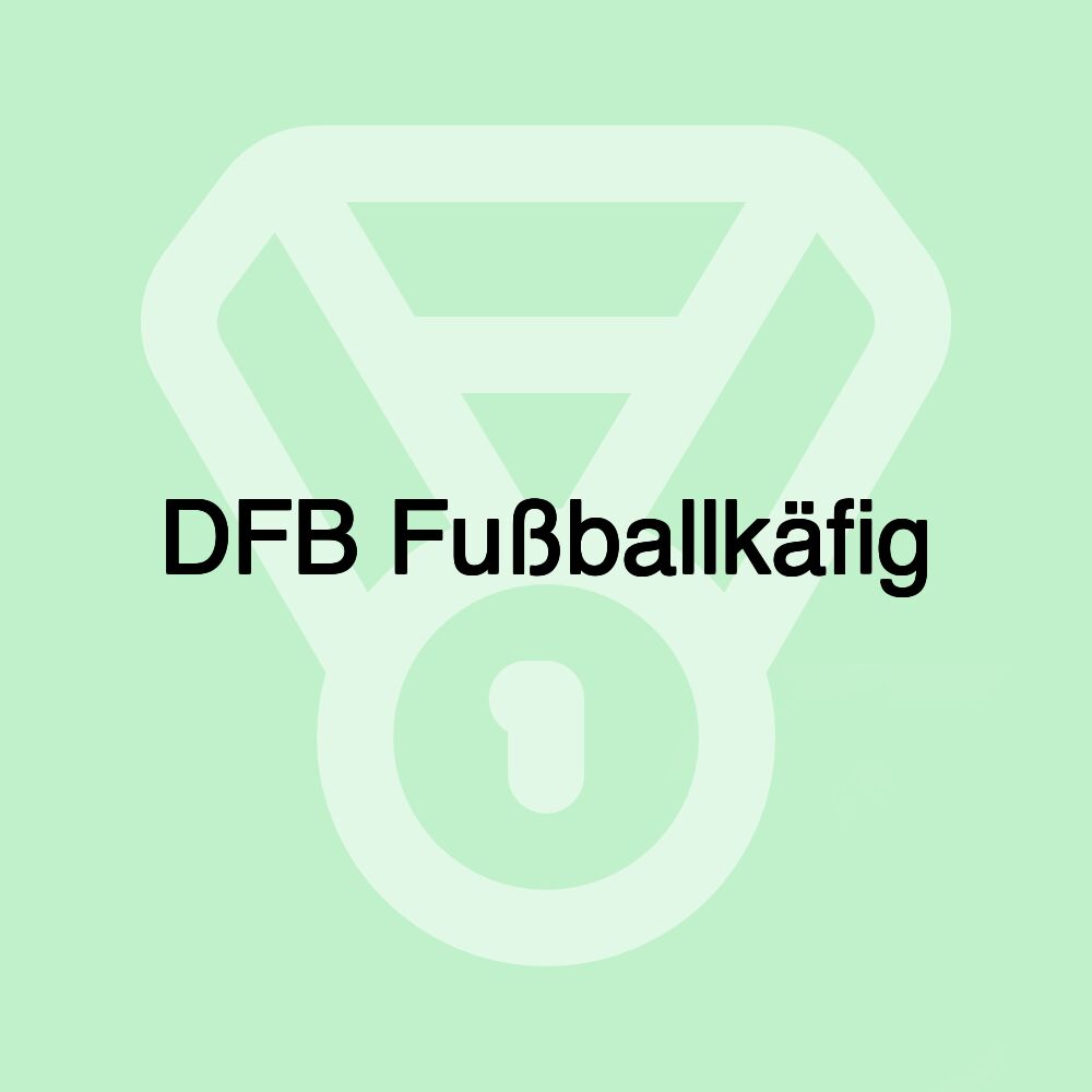 DFB Fußballkäfig