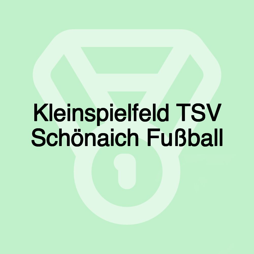 Kleinspielfeld TSV Schönaich Fußball